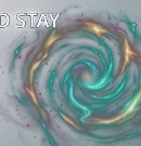 Vortex
